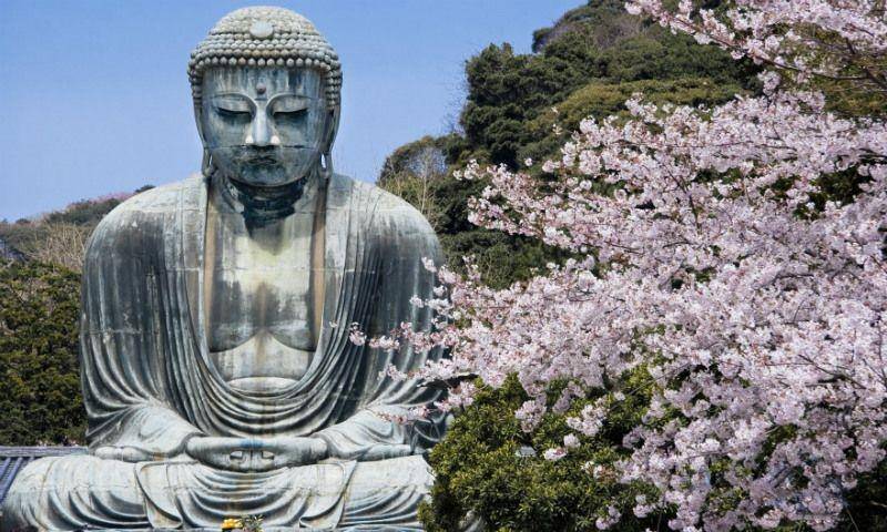 ikidane-nippon.com