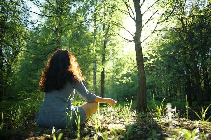 Mengenal Manfaat Shinrin-Yoku, Tradisi Berjemur di Hutan Dari Jepang