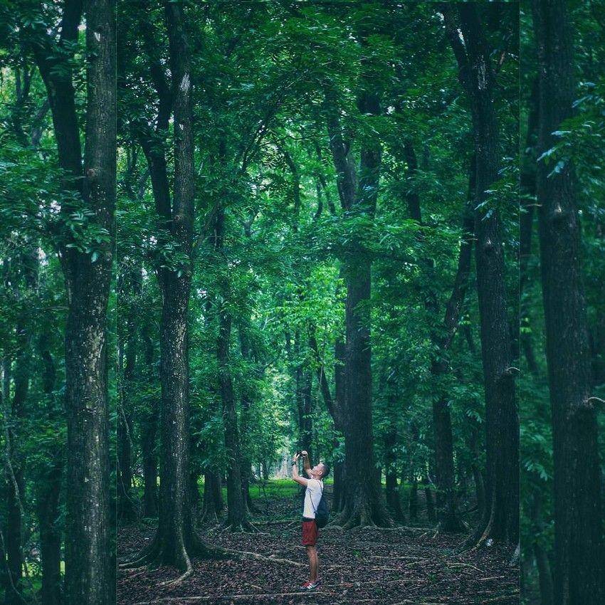 Kebun Raya Purwodadi (instagram.com/adizogol)