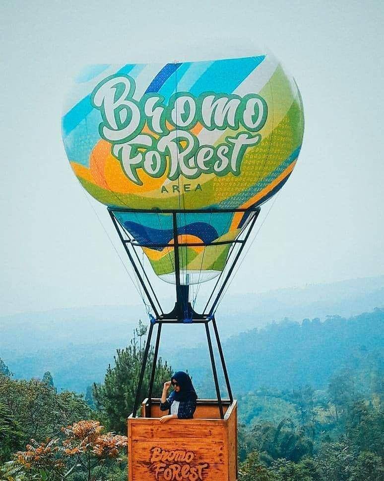Bromo Forest Area (instagram.com/farah.ansh)