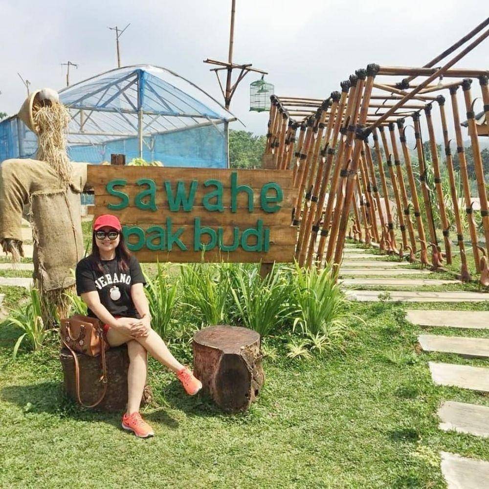 Kebun Pak Budi (instagram.com/jenervouz)