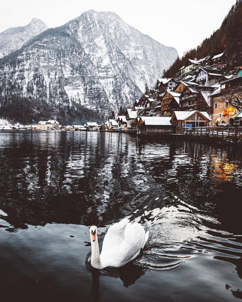 hallstatt.net