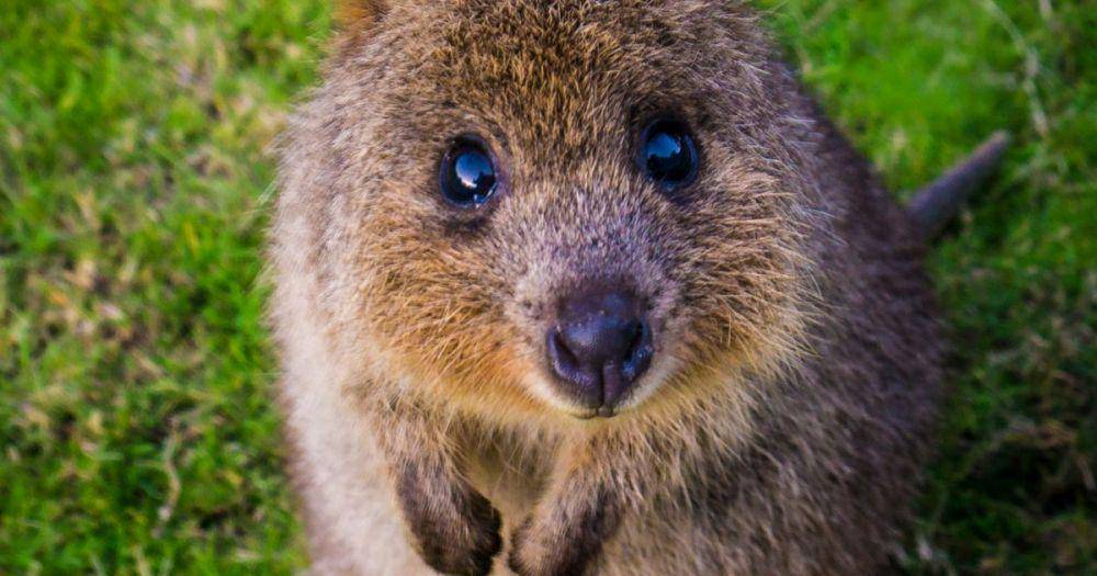 natureaustralia.org.au