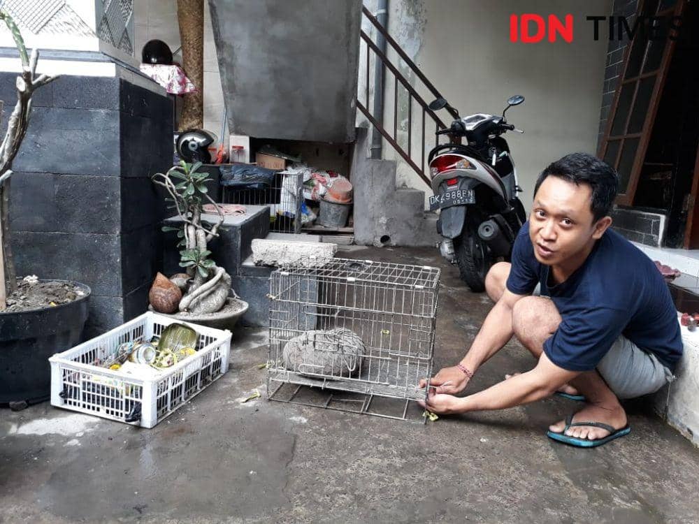 IDN Times/Imam Rosidin