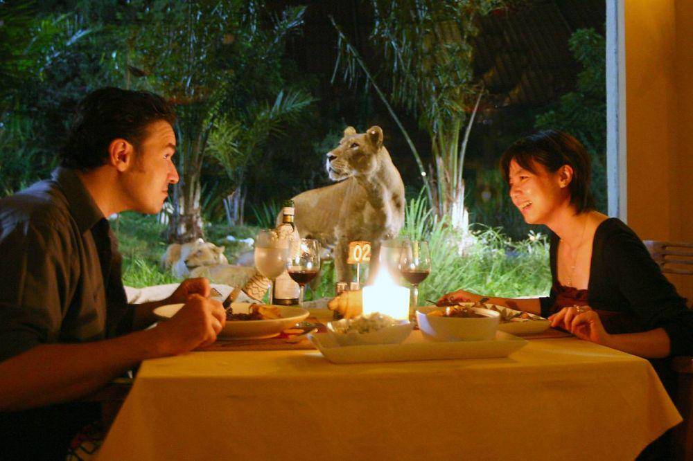 Marariversafarilodge.com