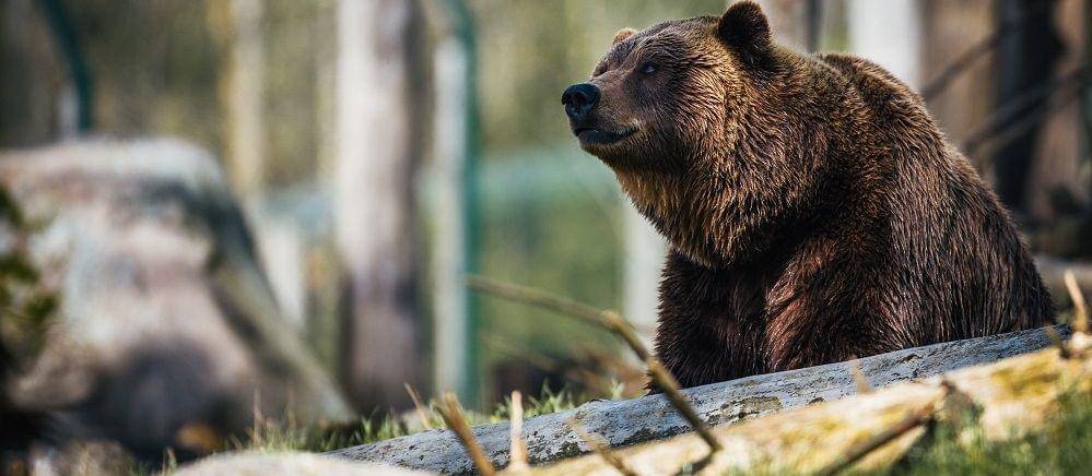 Unsplash/thepootphotographer