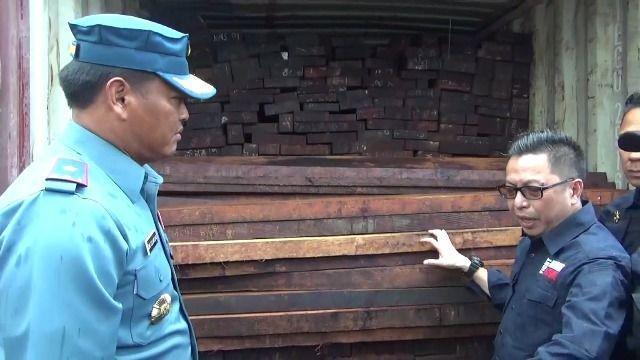KLHK Diminta Usut Tuntas Kasus Kayu Ilegal Asal Papua