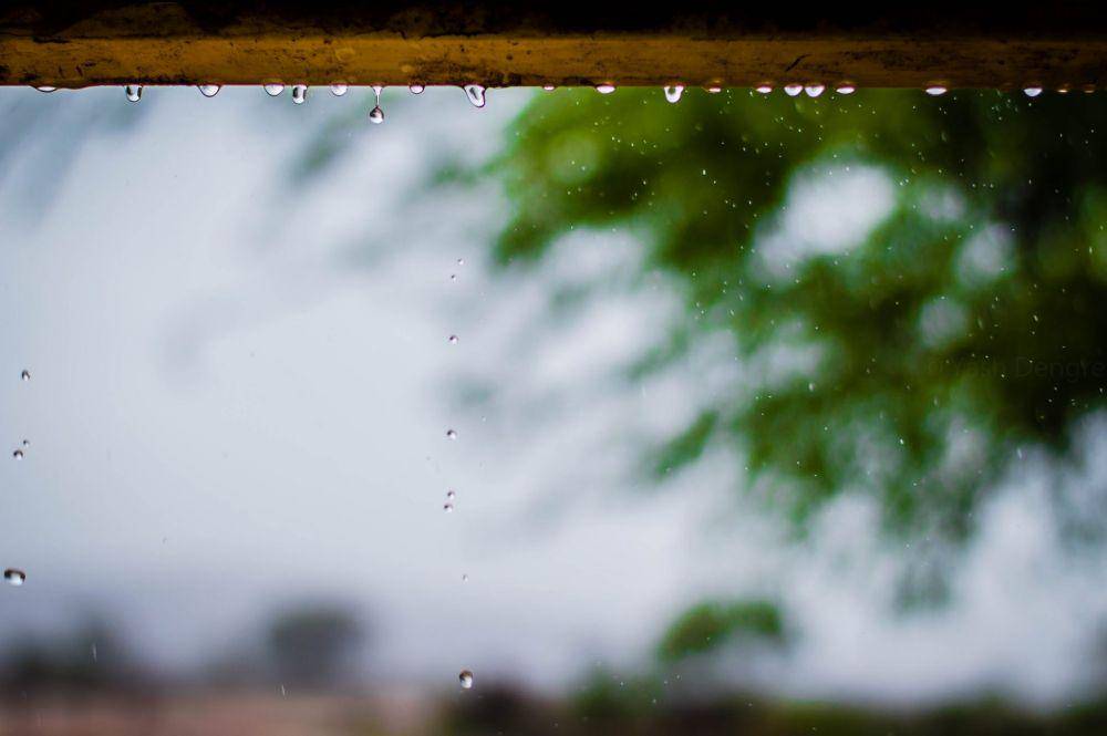 pexels/Yash Dengre