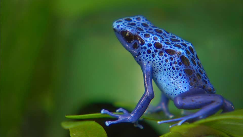 Footage.framepool.com