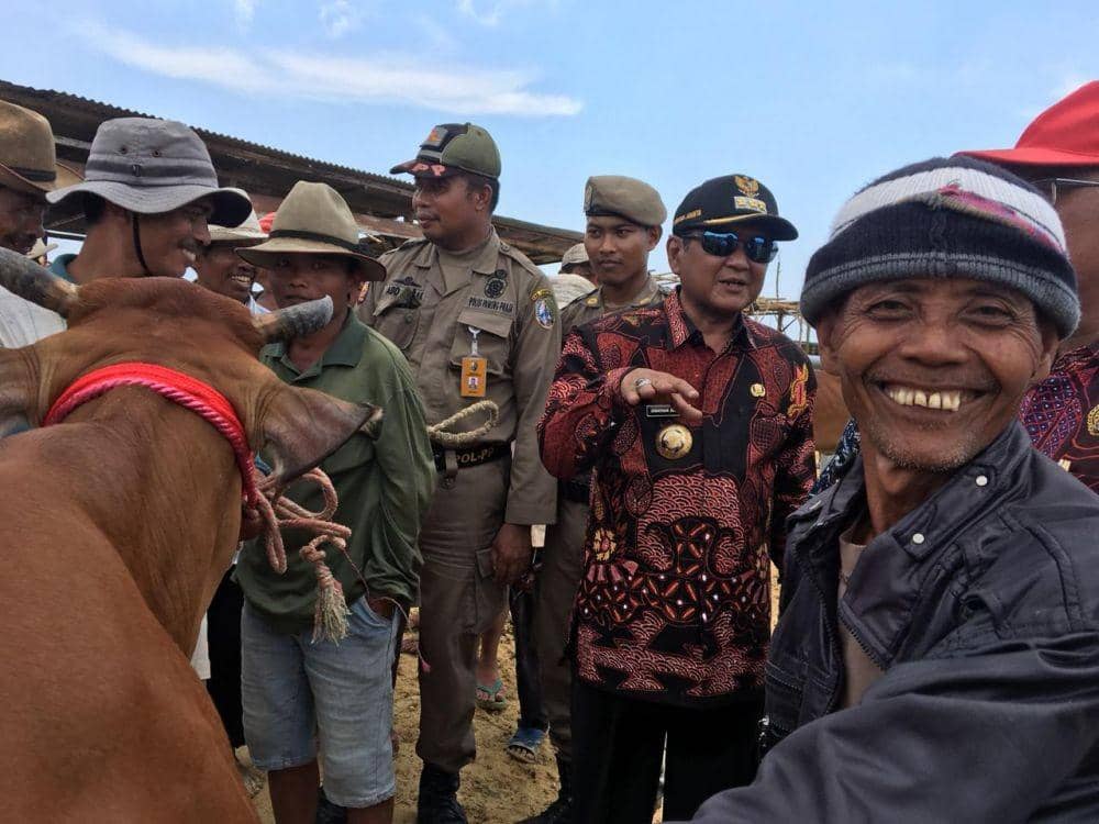 Pasar Sapi Aeng Sare Sampang Memprihatinkan, Pemkab: Biar Diaudit BPK