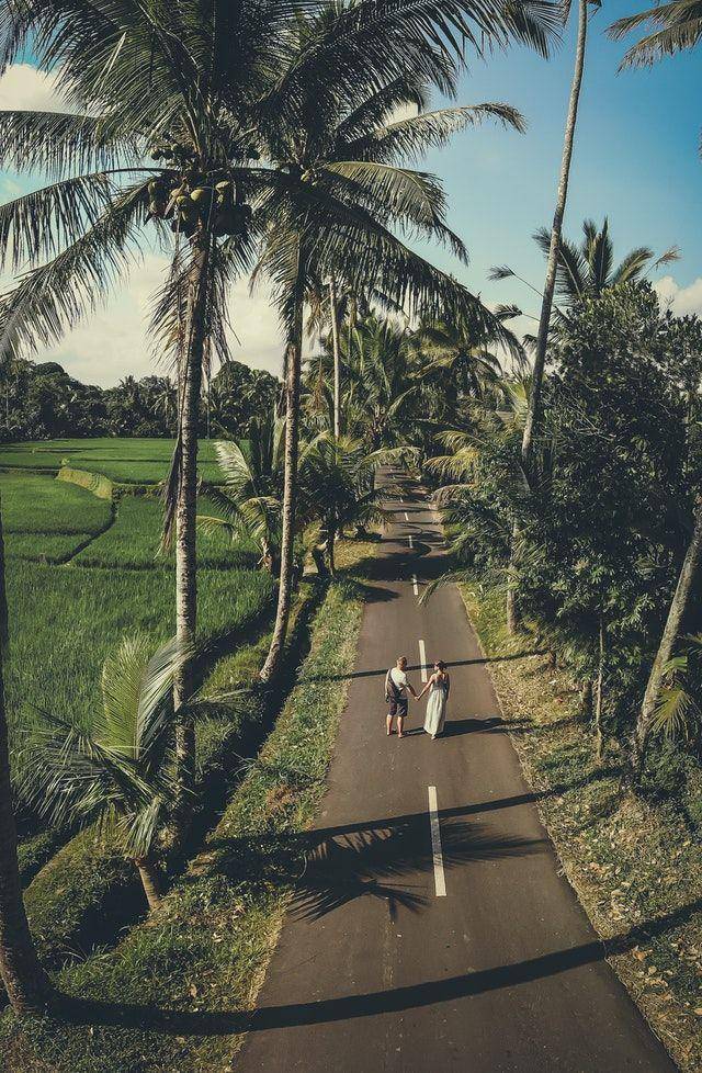 Pexels.com/Artem Bali