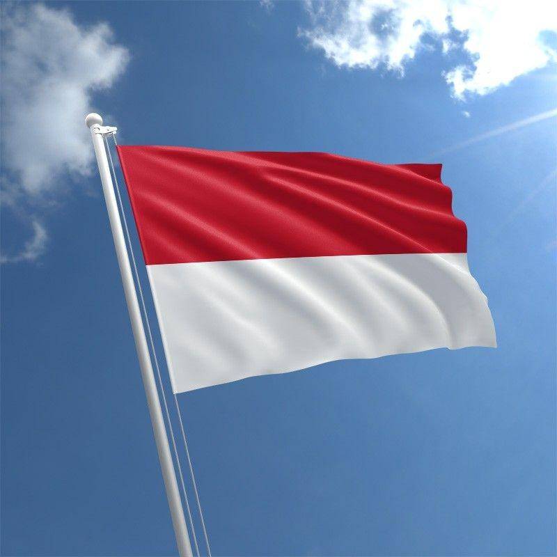 theflagshop.co.uk
