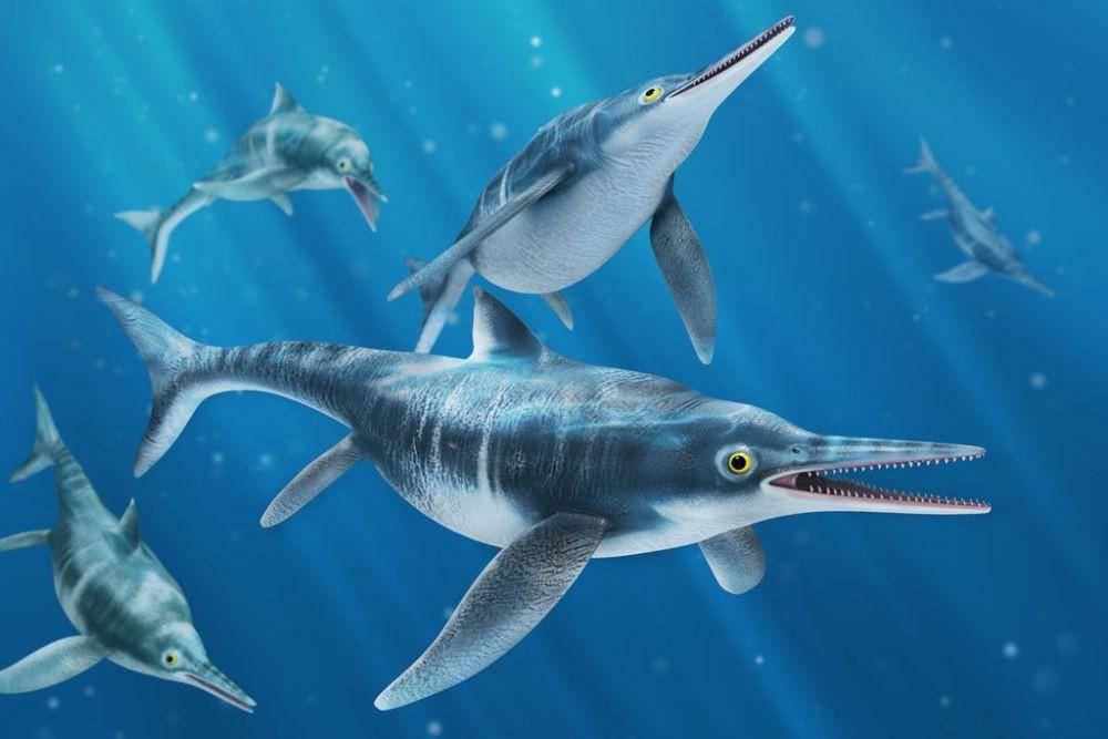 newdinosaurs.com
