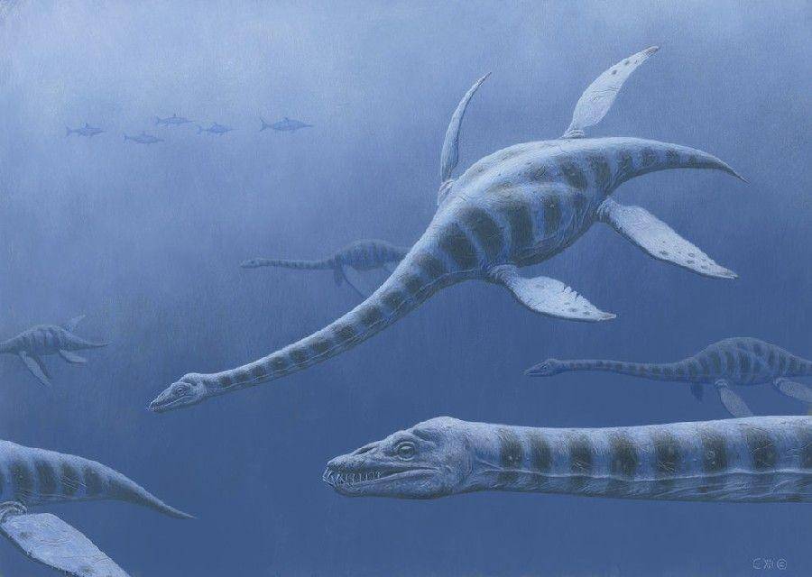 dinosaurpictures.org