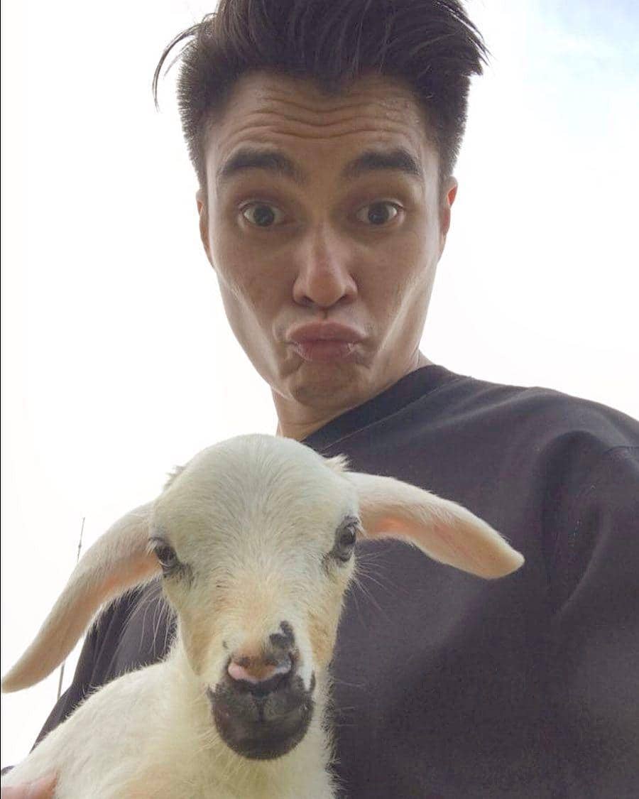 Instagram.com/baimwong