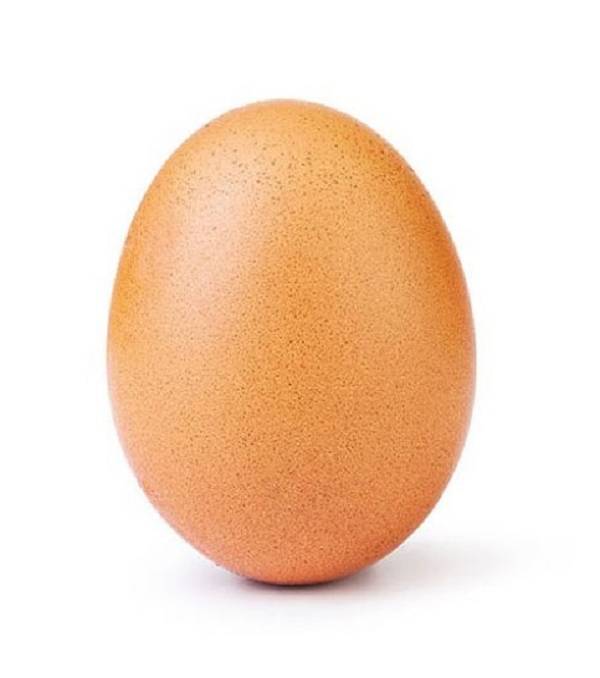 twitter.com/NEWS1130