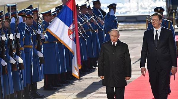 Berkunjung ke Serbia, Vladimir Putin Dapat Hadiah Seekor Anak Anjing