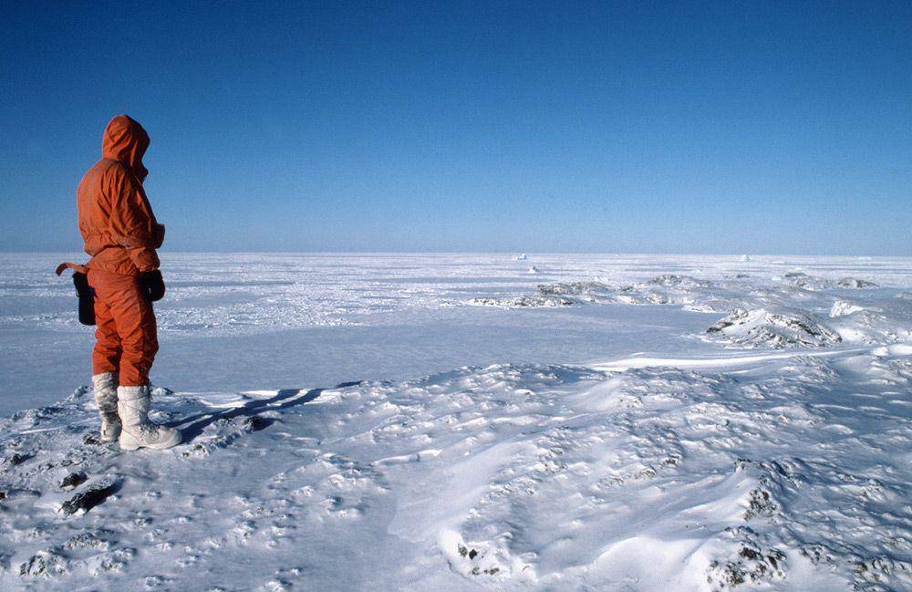 coolantarctica.com