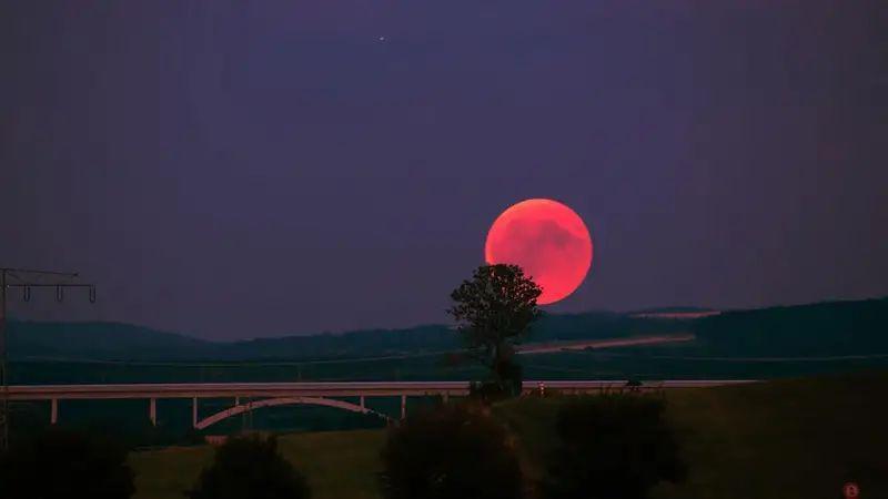 Jadi Peristiwa Langka, Ini 5 Fakta Soal Super Blood Moon Januari 2019!