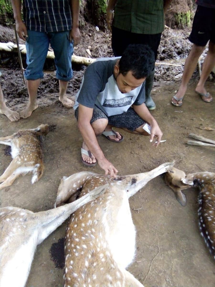 Dok.IDN Times/Istimewa