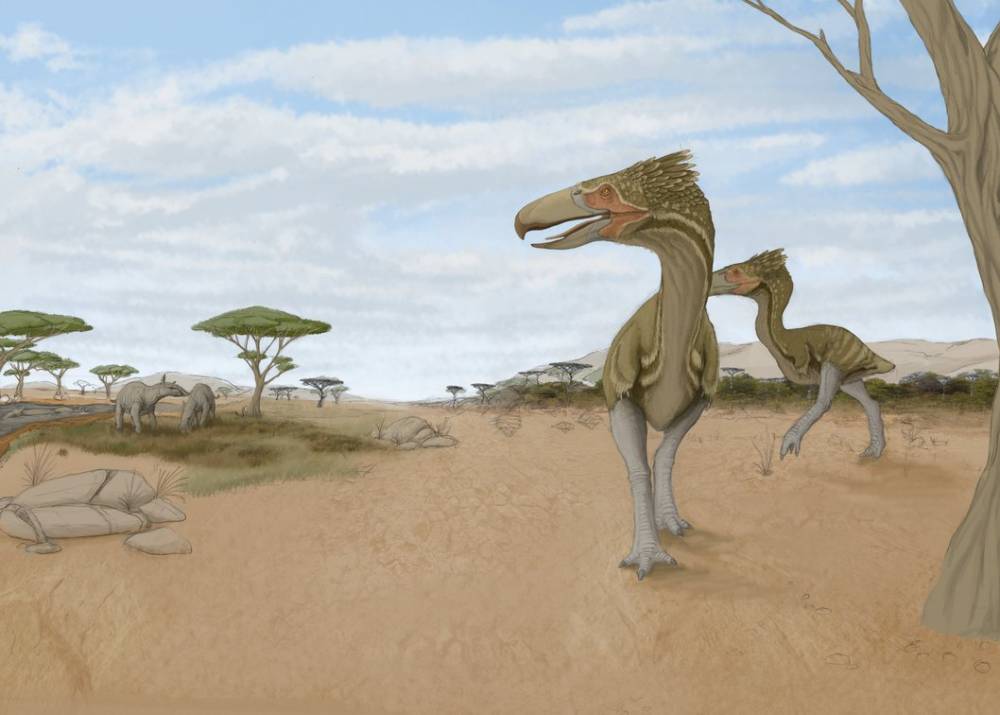 newdinosaurs.com