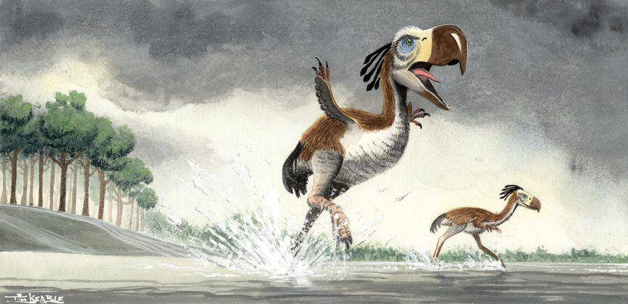 newdinosaurs.com