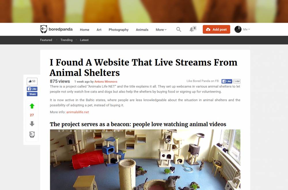 animalslife.net