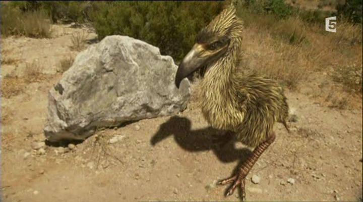 dinopedia.fandom.com