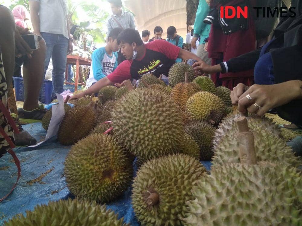 IDN Times/Nofika Dian Nugroho