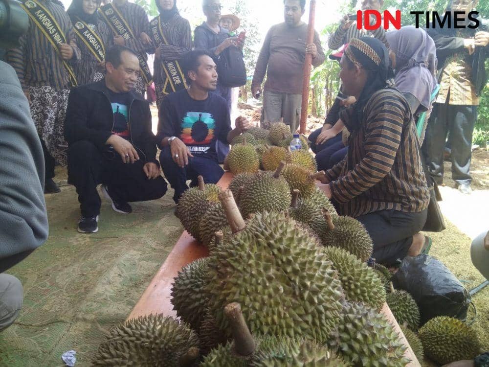 Mengenal Durian Kawuk Khas Segulung yang Intens Dikembangkan di Madiun