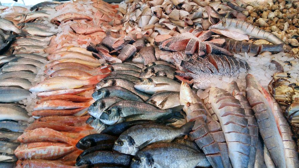 Mantap! Biaya Pembangunan Pasar Ikan Modern Palembang Telan Rp24 M