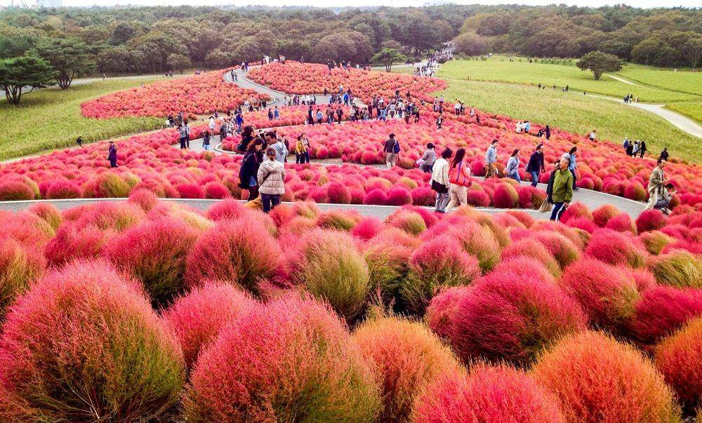 YokotaTravel.com