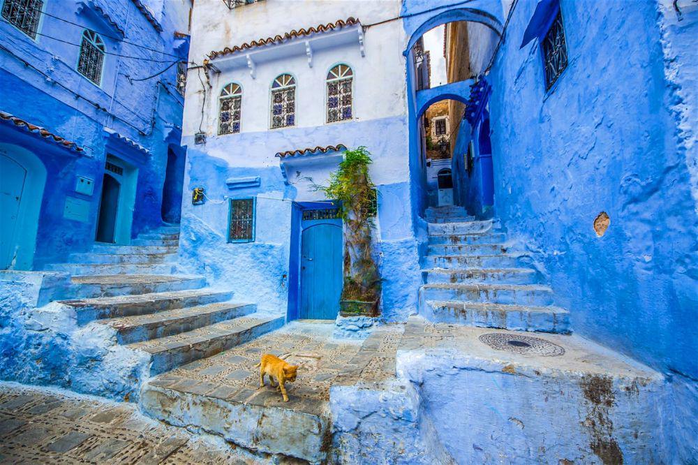 6 Alasan Kenapa Kamu Wajib Mengunjungi Kota Biru Chefchaouen di Maroko