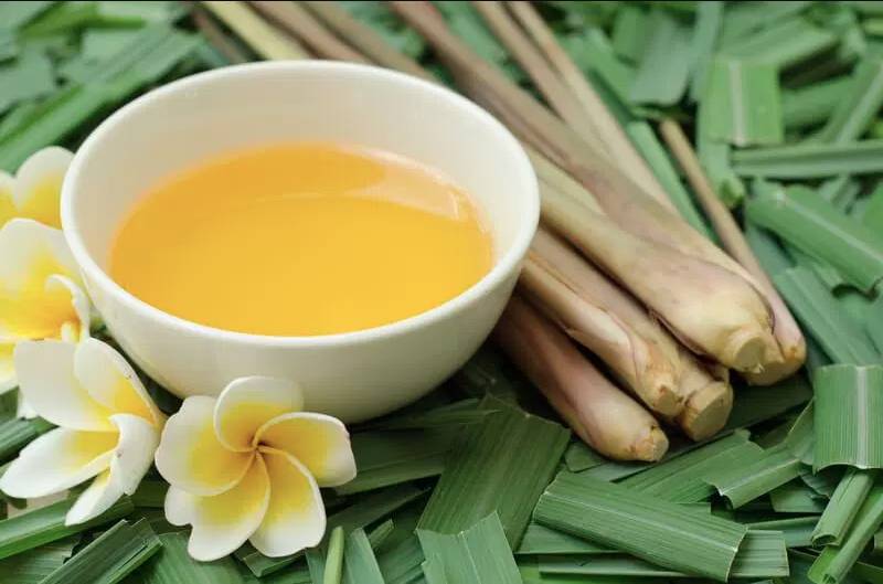 acehpungo.com