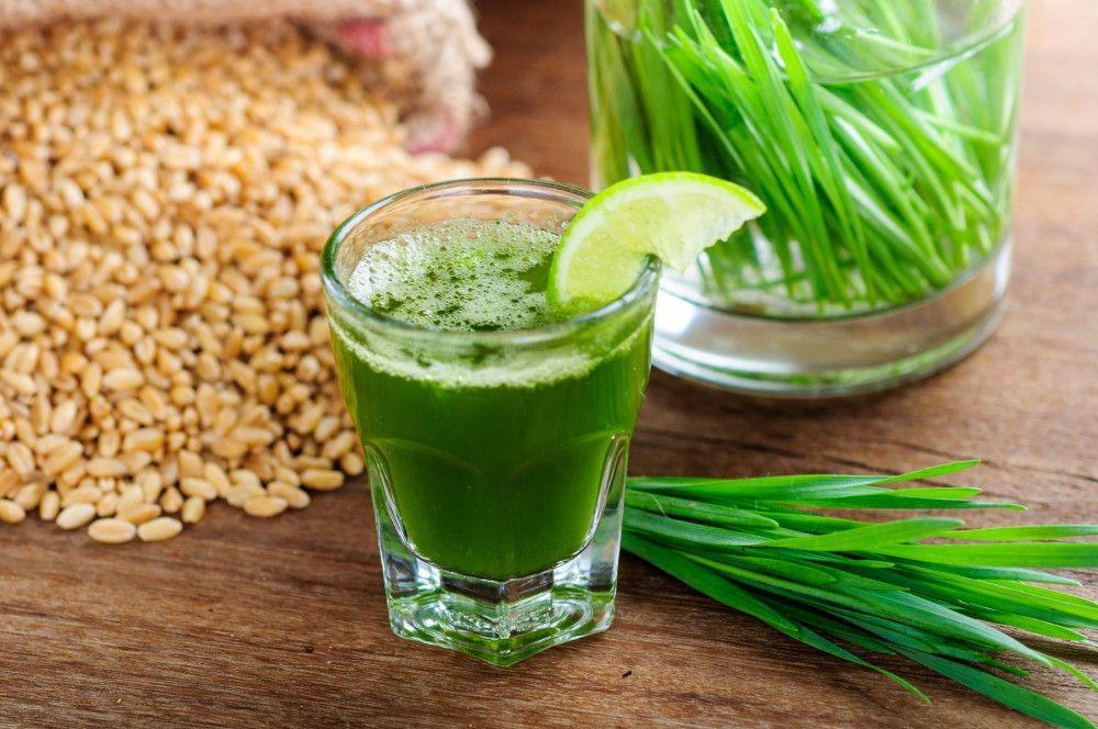 6 Manfaat Wheatgrass untuk Kesehatan, Bersedia Coba?