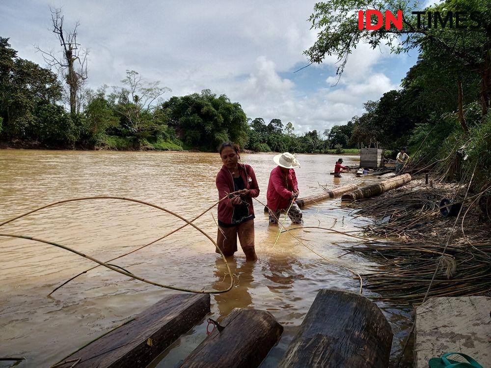 IDN Times/ Febriyanti Revitasari