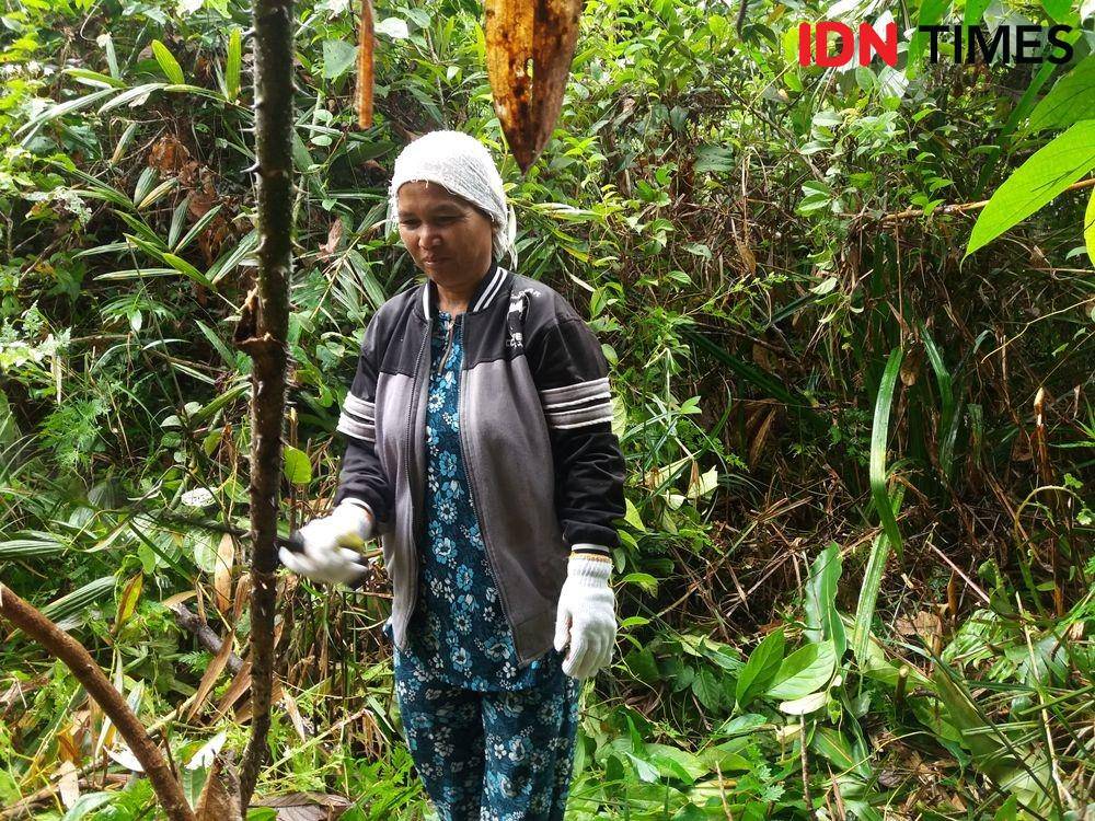 IDN Times/ Febriyanti Revitasari