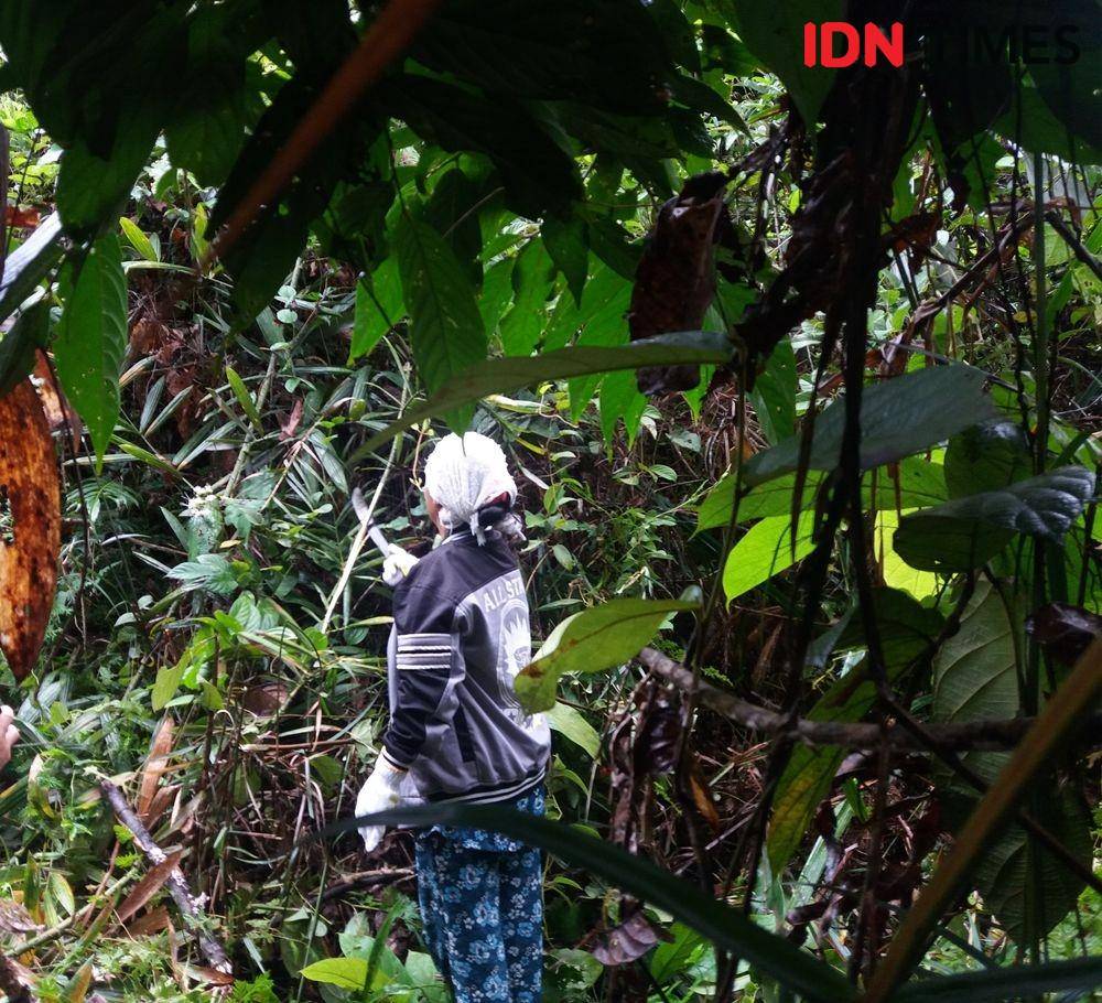 IDN Times/ Febriyanti Revitasari