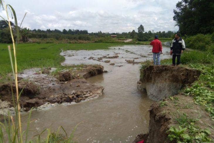 Tanggul Jebol, Ratusan Hektare Sawah di Siborongborong Terendam Air