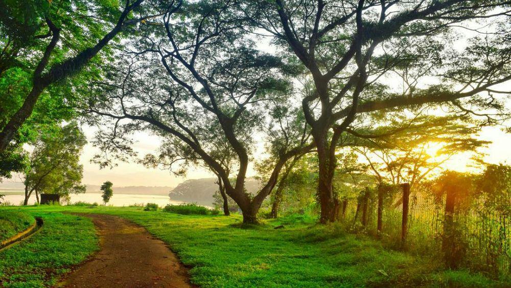 9 Tempat Wisata di Banjarnegara Ini Indahnya Bukan Main