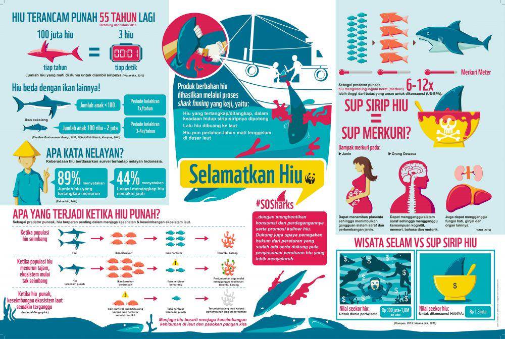 Infografis WWF-Indonesia