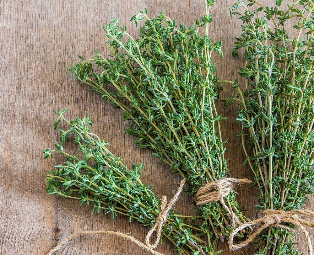 kitchengardenherbs.com