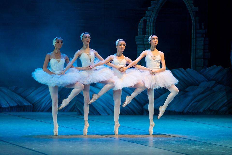 pixabay/nikidinov