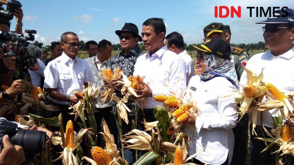 Menteri Pertanian Amran Sulaiman (IDN Times/Imron)
