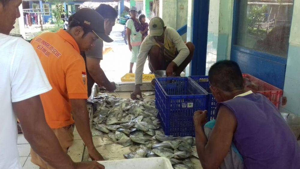 Tempat Pelelangan Ikan Pantai Samas, Bantul.(IDN Times/Daruwaskita