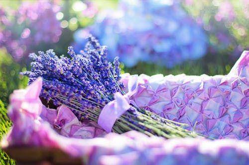 Pixabay/ jill111