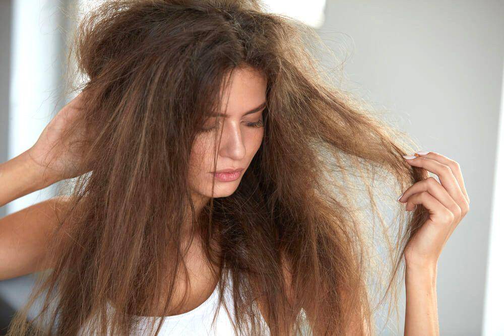lionessebeautybar.net
