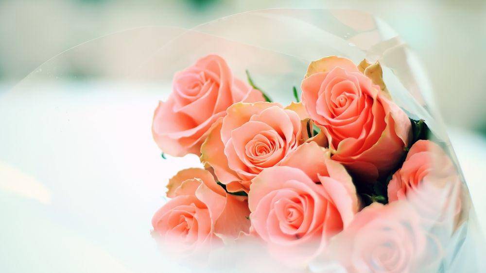 naimafloristsite.wordpress.com