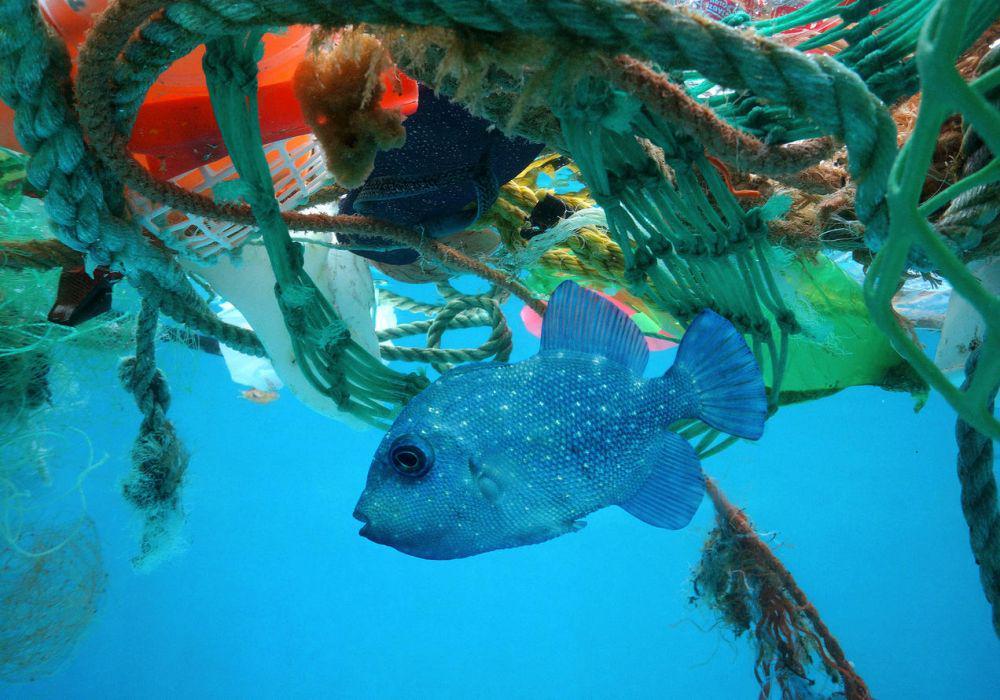 5 Alasan Kenapa Kita Harus Mengurangi Penggunaan Plastik dari Sekarang