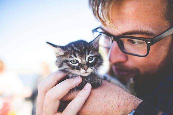 petcube.com